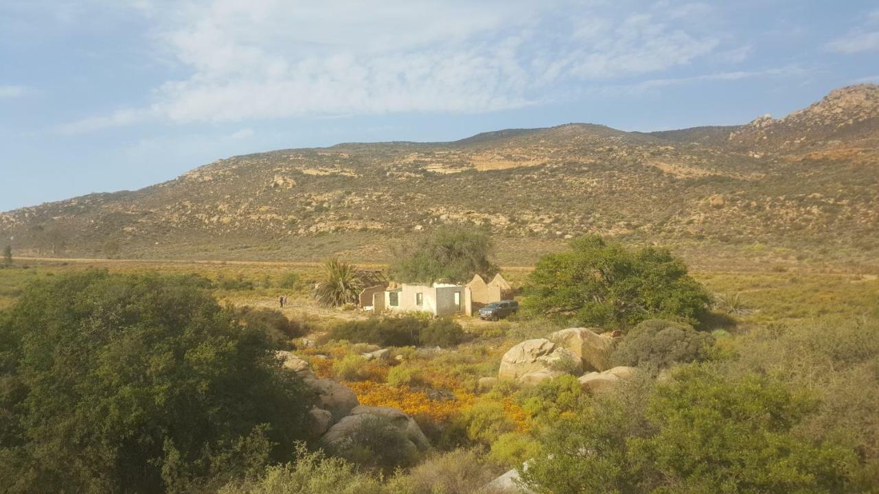 Jakkalswater Guest Farm Farm stay Nababeep